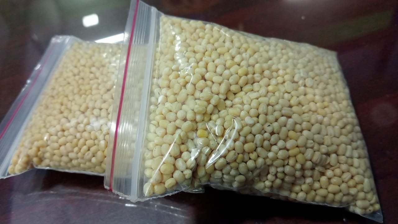 White Urad Dal