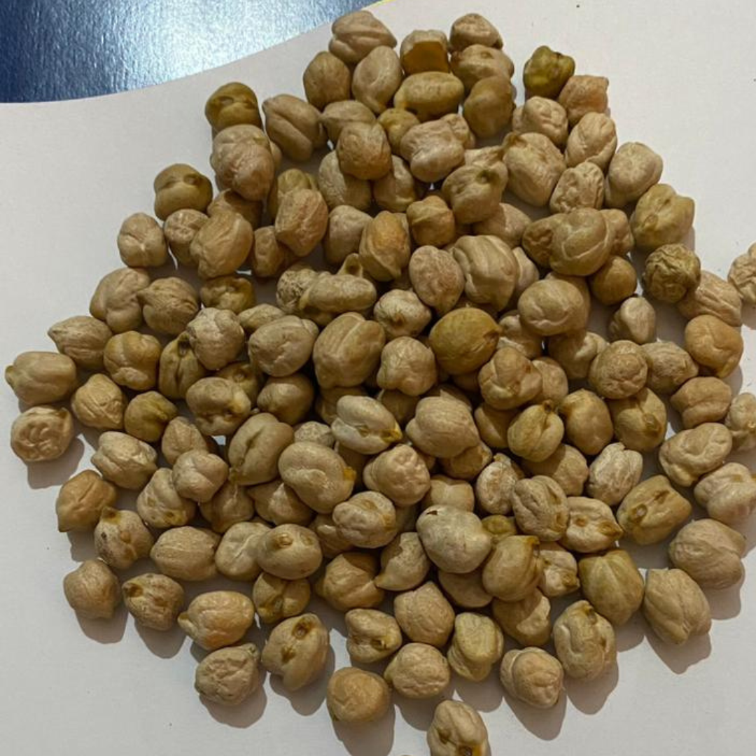 White Chickpeas